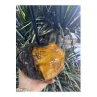 Biosy Zeytin Ağacı Ve Epoksiden Dekoratif Oda Kokusu Şişesi Füme 15cm Biosy Zeytin Ağacı Ve Epoksiden Dekoratif Oda Kokusu Şişesi Füme 15cm