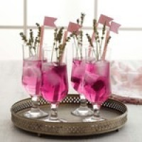 Nevakar 6 Parça Kokteyl Bardağı Nevakar 6 Parça Kokteyl Bardağı