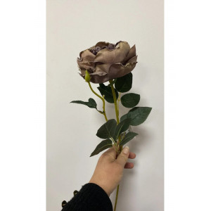 Kahve Austın Gülü 60 cm