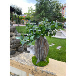 Yapay Bonsai Bodur Ağaç 54*21cm