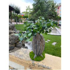 Yapay Bonsai Bodur Ağaç 54*21cm