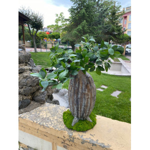 Yapay Bonsai Bodur Ağaç 54*21cm