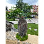Yapay Bonsai Bodur Ağaç 54*21cm