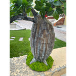 Yapay Bonsai Bodur Ağaç 54*21cm