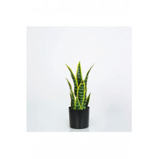 Yapay Saksılı Sansevıera Çiçeği 39 cm